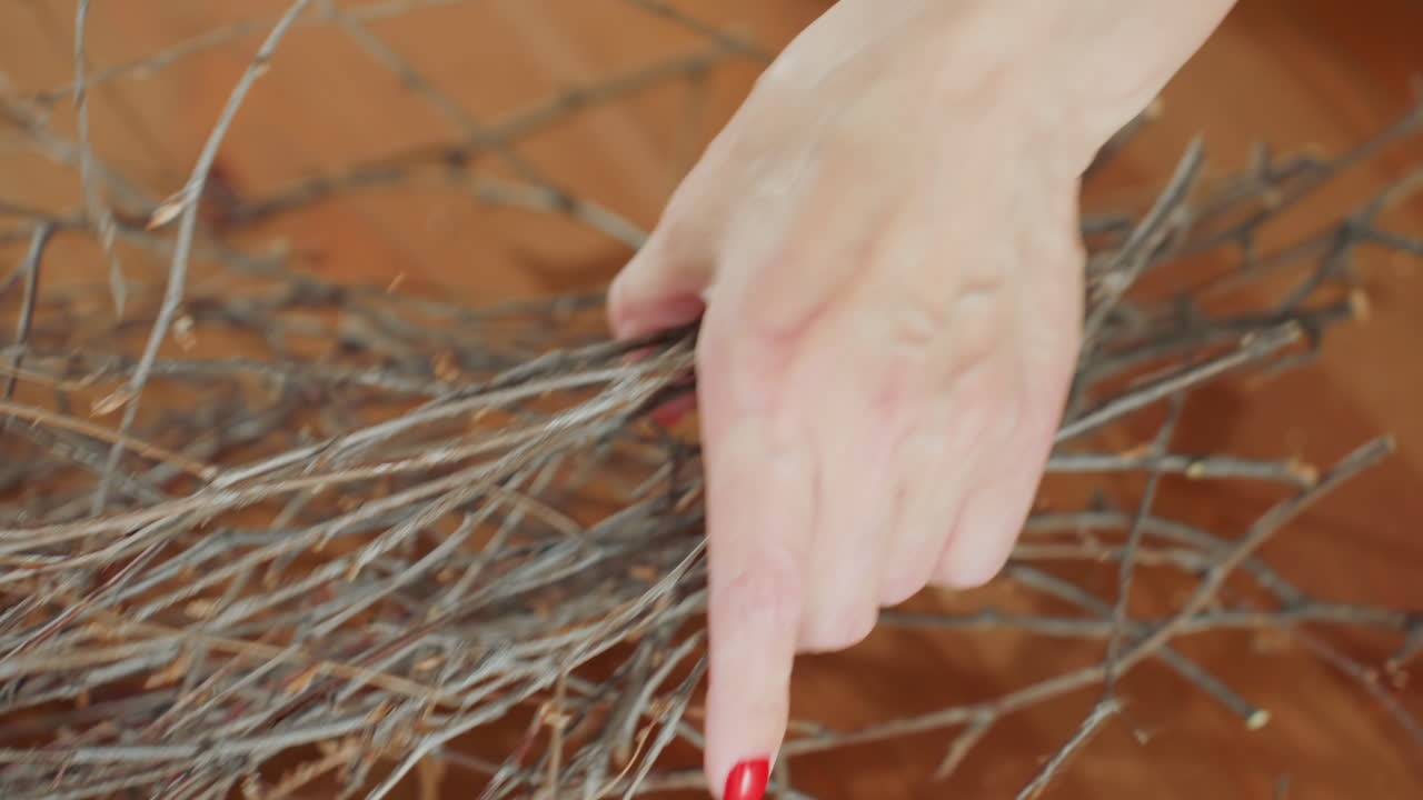 Closeup view of pile of dry thin branches on wooden table with blurred female hand with red nails above, capturing natural rustic materials for crafting, decoration, or eco-friendly DIY projects indoors