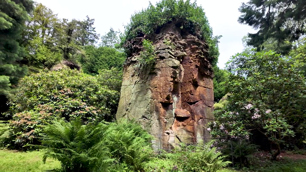 Imponente formazione rocciosa naturale coperta da una vegetazione vibrante e circondata da felci rigogliose in un tranquillo ambiente forestale.
