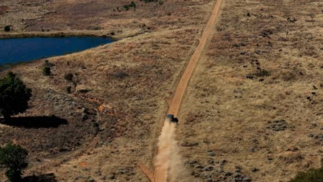 Safari-adventure-captures-wildlife-in-the-African-bush:-antelope-running,-mountains,-plains,-and-water-in-a-panoramic-view