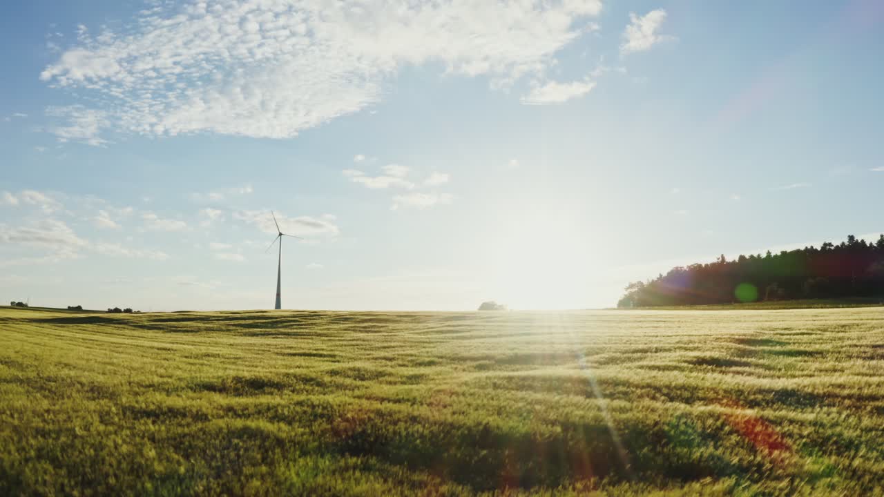 해가 지는 동안 밀에 있는 풍력 터빈
