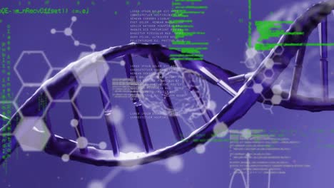 Animación-De-Fórmulas-Químicas-Y-Procesamiento-De-Datos-Sobre-Cadenas-De-ADN-En-Rotación.