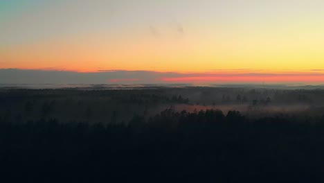 misty landscape with forest in sunset colours, panoramic view over the trees, pan right