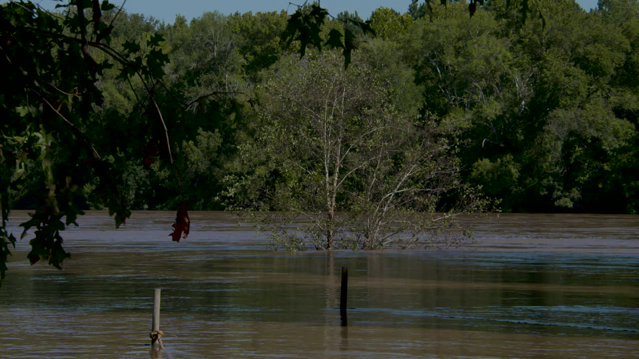 허리케인 피렌체에서 강 범람 샷