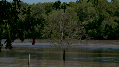 river flooding shots from hurricane florence