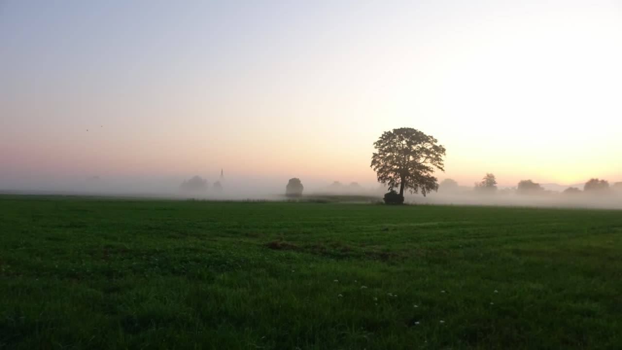 태양이 아침에 안개를 고 지나가는 시간