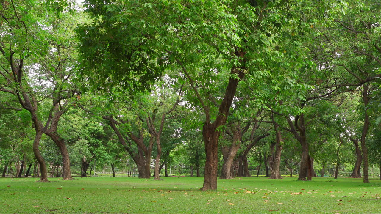 This public park is a perfect place to unwind with its lush trees and grass. Ideal for relaxation, it provides a tranquil environment to rejuvenate