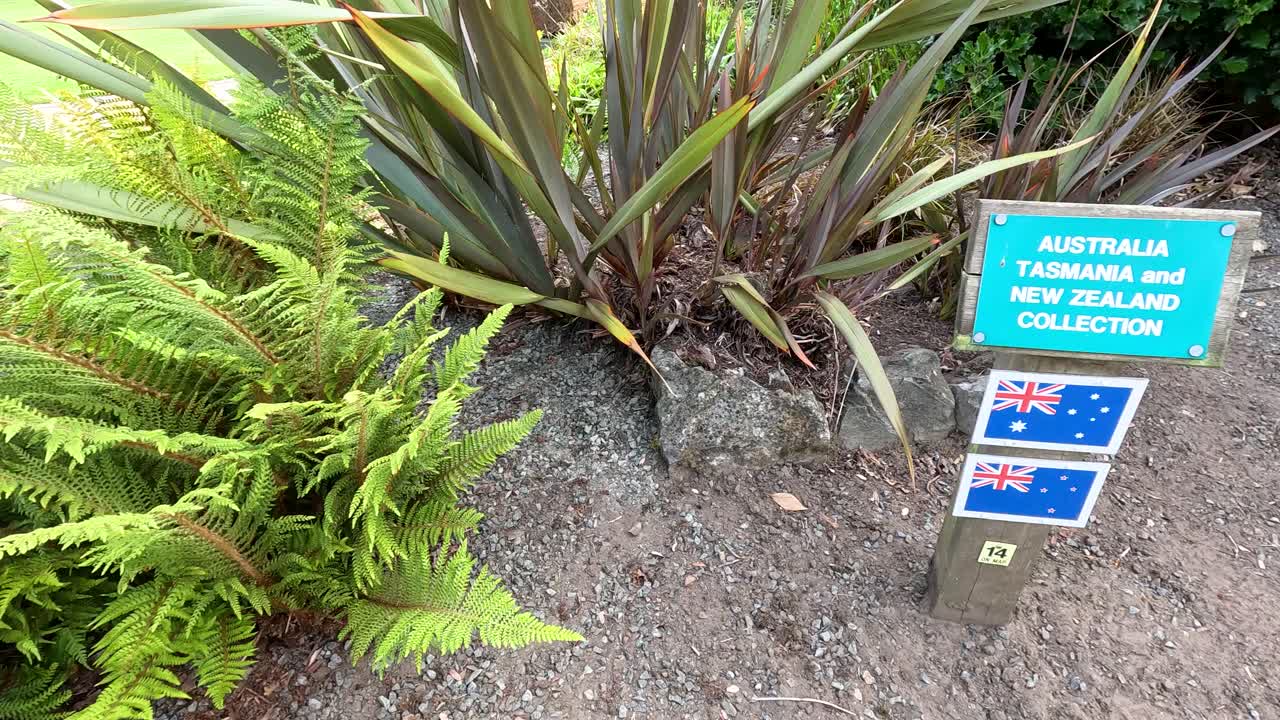 Camera pans slowly across a botanical garden bed, focusing on a sign for the Australia, Tasmania, New Zealand plant collection in daylight