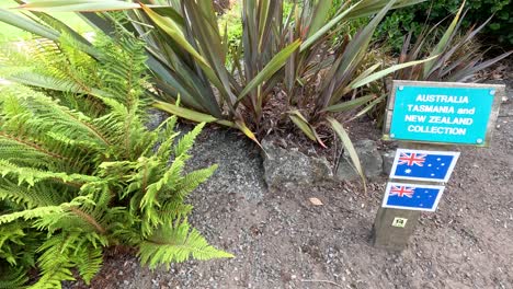 camera pans slowly across a botanical garden bed, focusing on a sign for the australia, tasmania, new zealand plant collection in daylight
