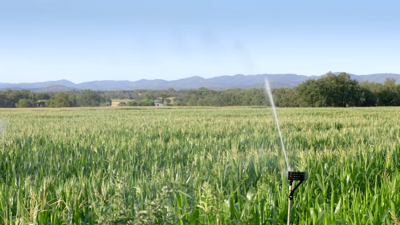 해가 뜨면  ⁇ 에 물을 뿌리는 스프링클러