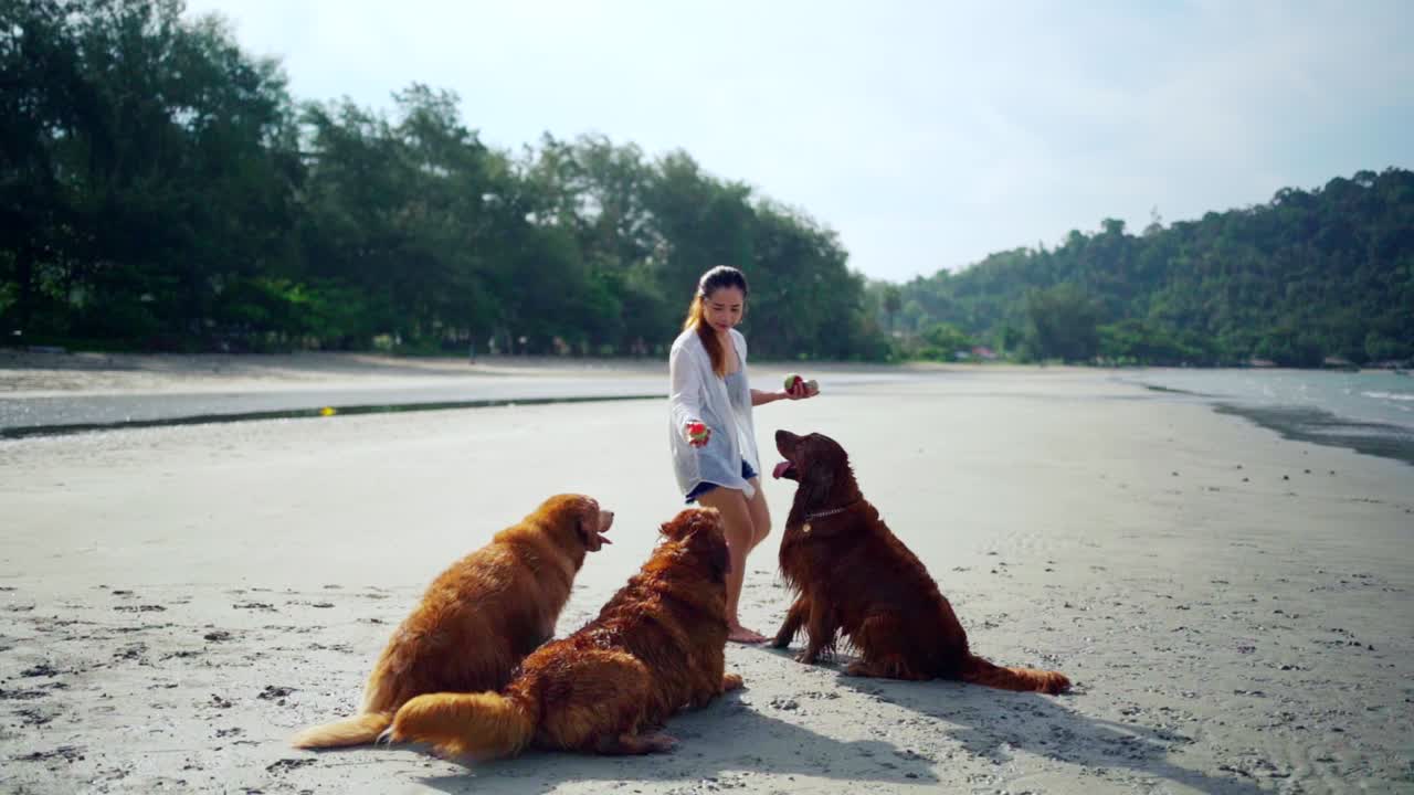 una mujer asiática relajándose con un perro en la playa. recreación y estilo de vida en las vacaciones de verano.