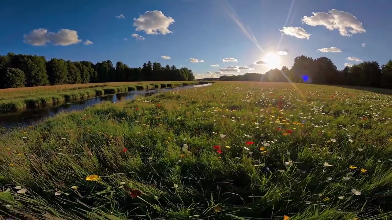 Fargerik villblomsteng med elv og skinnende sol