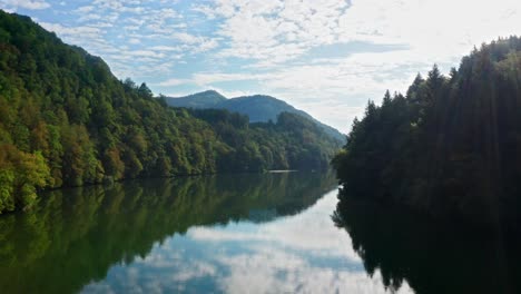 forest crossed by river with reflected surrounding trees