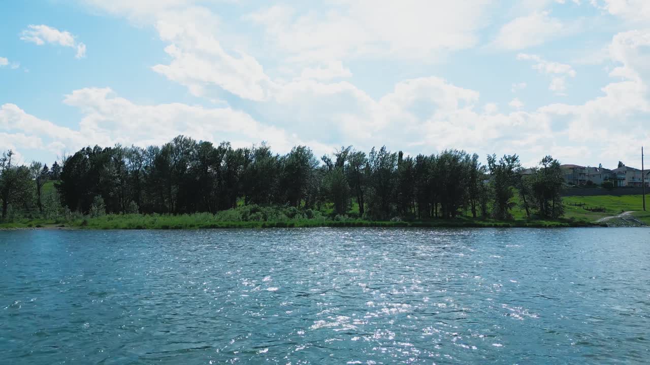 A row of trees stands tall along the riverside as sunlight sparkles across the rippling blue water
