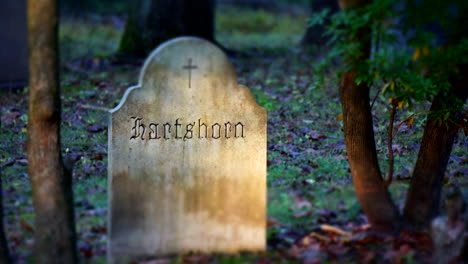 sunlight and shadow pass over a gothic gravestone in time-lapse