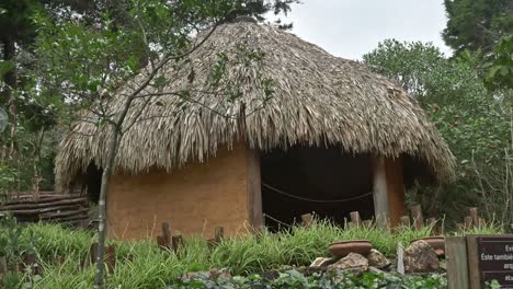 Indigenous-Colombian-straw-hut-in-the-middle-of-the-jungle