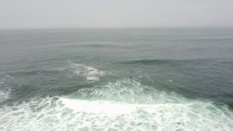 surfers waiting in the ocean for big waves to come