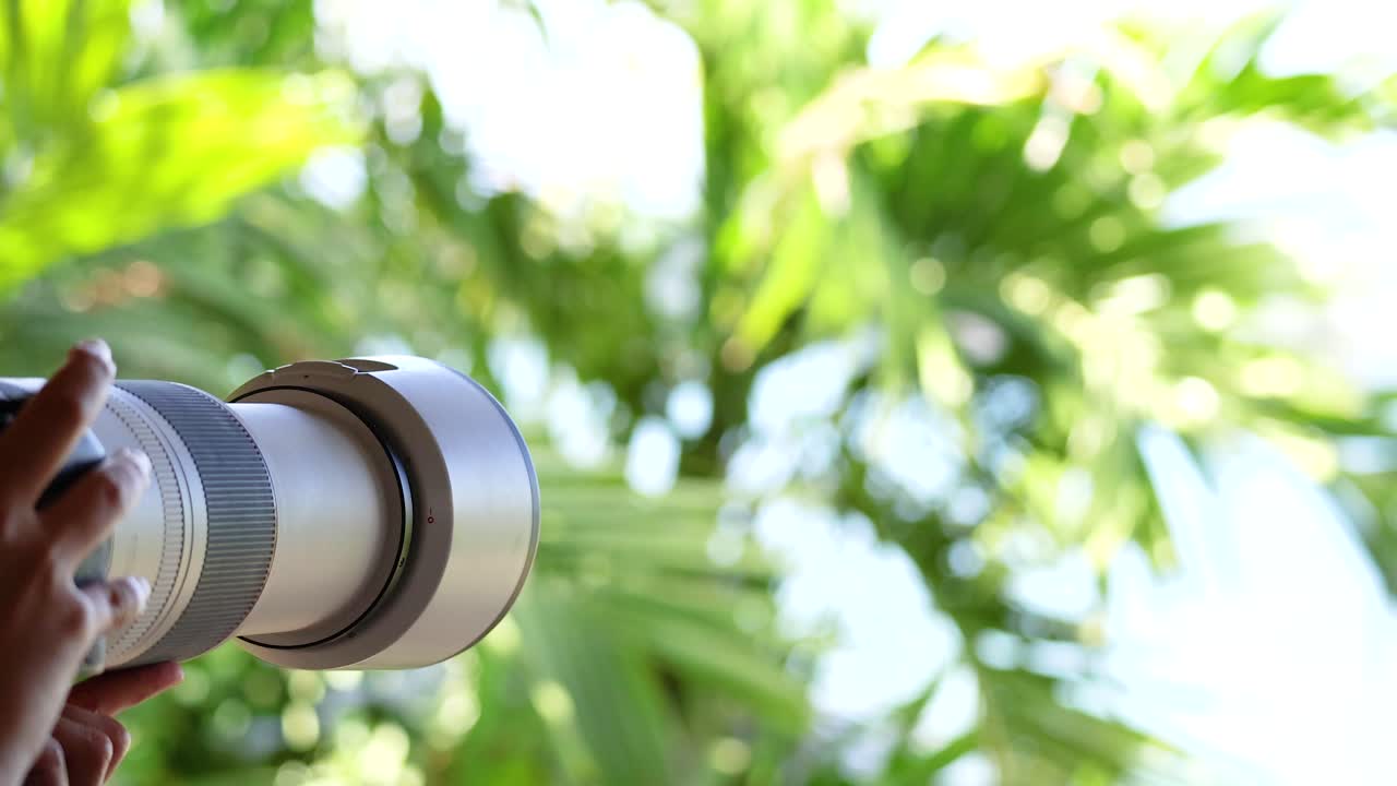 A person photographs lush greenery with a zoom lens in bright daylight, showcasing a focus on nature and photography