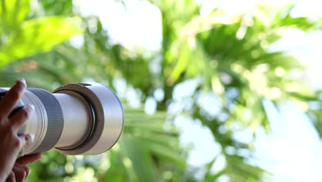 a person photographs lush greenery with a zoom lens in bright daylight, showcasing a focus on nature and photography