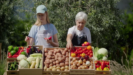 An-elderly-woman-farmer-and-her-granddaughter-lay-out-seasonal-vegetables-at-the-farmer's-market-counter.