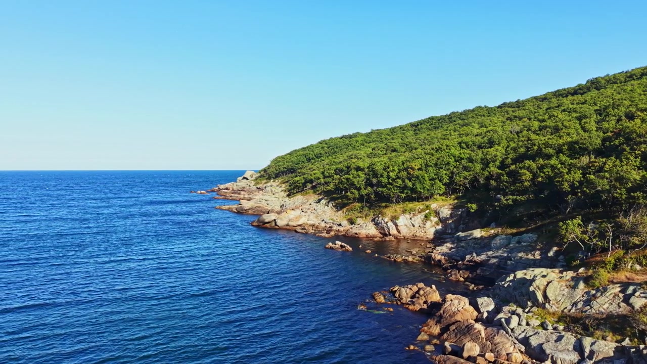 Costa con foresta verde e acqua blu in una giornata limpida