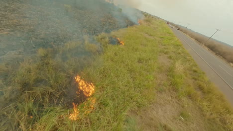 FPV-drone-flight-burning-farmland-low-flyover,-bushfire,-smoke-and-flames,-speed-aerial,-big-flames,-a-lot-of-smoke,-grassland-burns