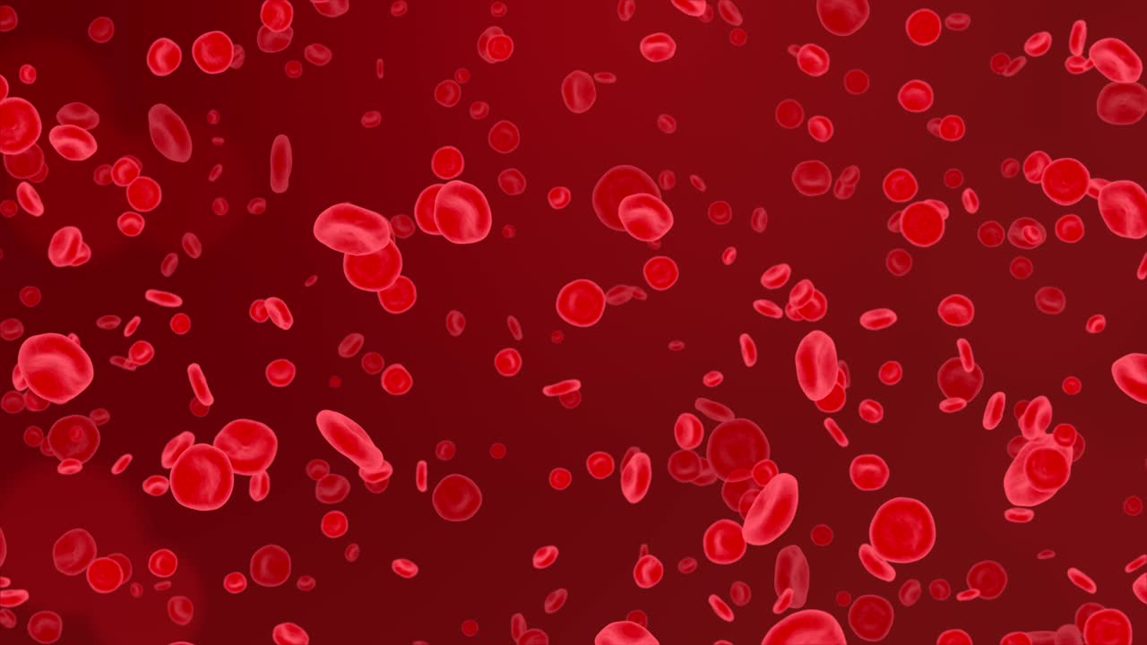 Red blood cells in Artery Flow inside body, medical human health care 4K 3d Loop Animation.