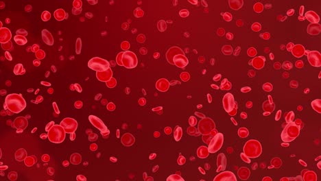 Red blood cells in Artery Flow inside body, medical human health care 4K 3d Loop Animation.