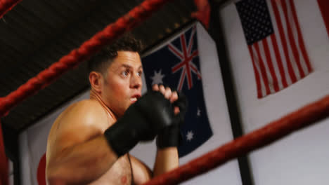 boxer performing a boxing stance