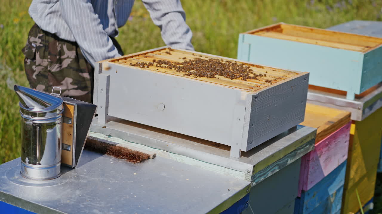Beehives with bees. Beekeeper standing near wooden boxes. Bees crawling in a small hive. Close-up. Apiculture concept.