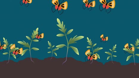 Animation-of-butterflies-and-plants-on-green-background
