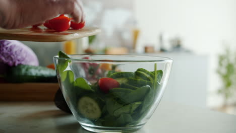 preparing a salad in the kitchen
