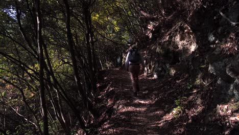 Male-hiker-inside-beautiful-forest-with-falling-leaves-through-frame