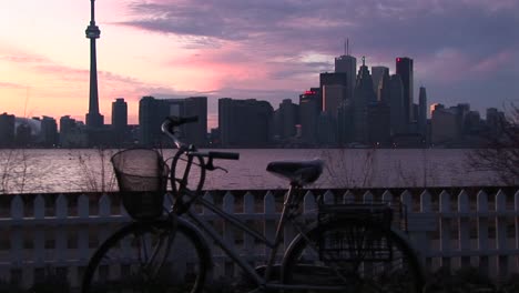 a tourist removes a bicycle parked on one of the toronto islands at goldenhour with lake ontario the cntower and the skyline of toronto in the distance