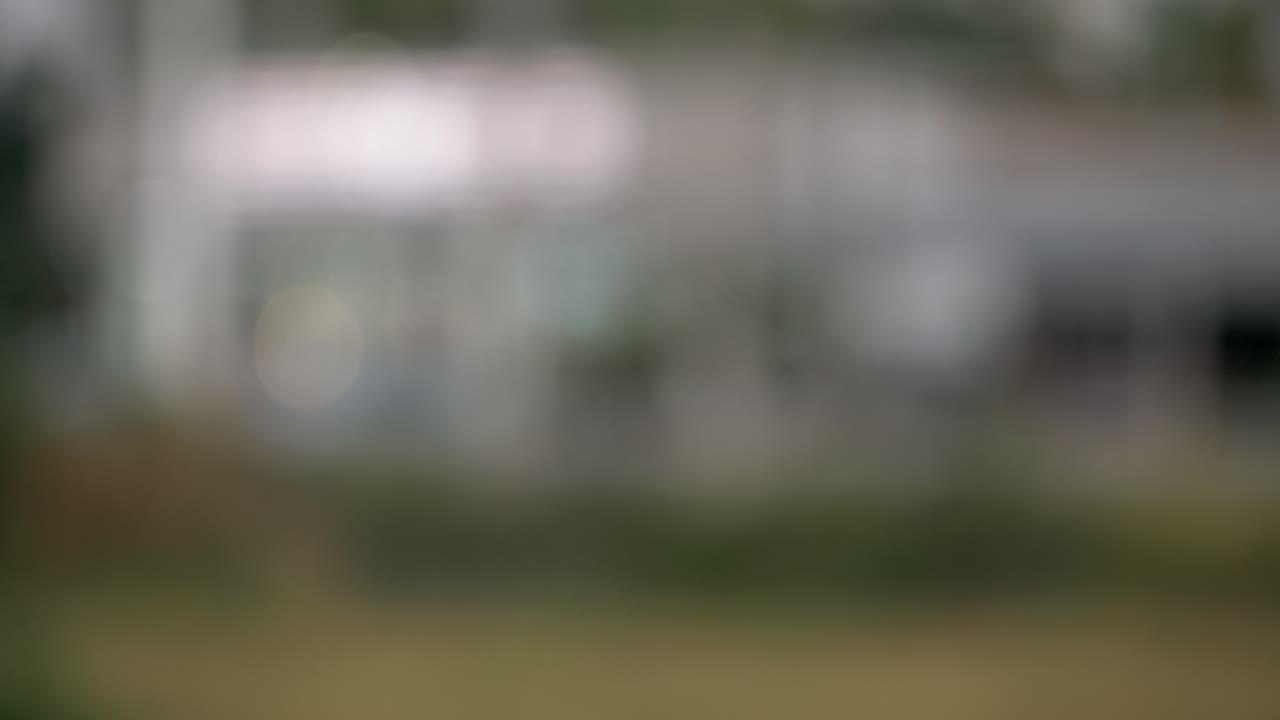 A blurred view of vibrant foliage captures essence of nature's tranquility