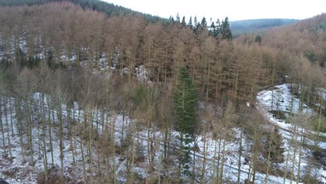 nevado galés bosque moel famau invierno paisaje aéreo parque nacional ver órbita izquierda