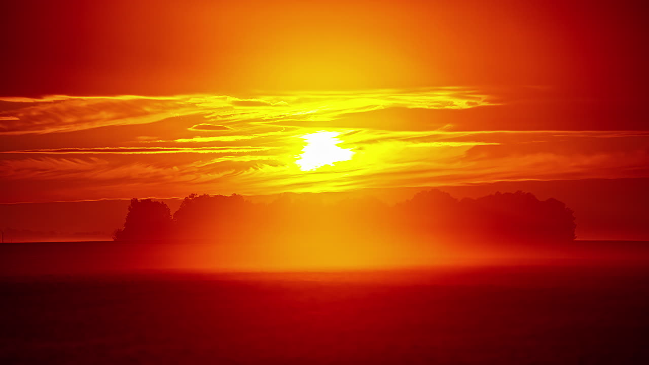 하늘에서 구름을 날리는 동안 들판에 있는 숲 나무 뒤에 있는 황금빛 일몰의 저속 촬영