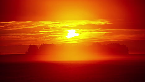 Time-lapse-shot-of-golden-sunset-behind-forest-trees-on-field-during-flying-clouds-at-sky