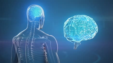 animación del cerebro y del ser humano sobre fondo azul