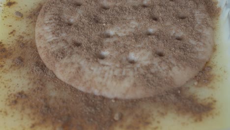 smooth spanish natillas custard paired with maria biscuit