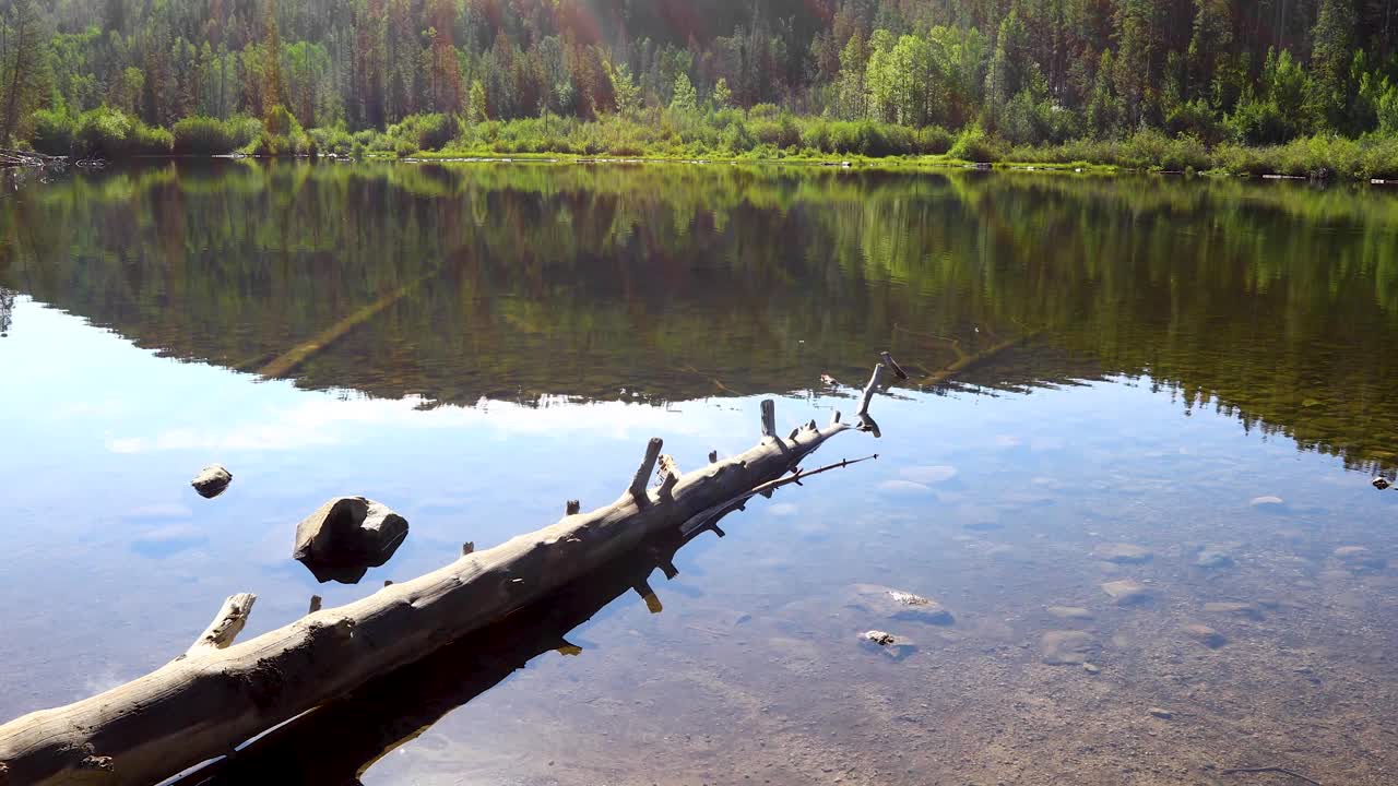 This is a static video of Rainbow Lake in Breckenridge Colorado. A log in in the water and small ripples can be seen.