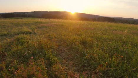 Shot-of-walking-through-grass-field-towards-the-sun,-La-roche-en-Ardenne,-Belgium,-Europe,-4K,-50fps