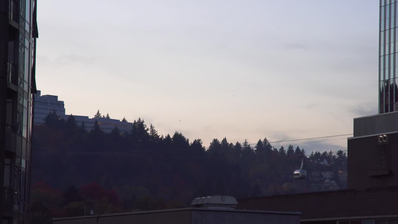 황혼의 활성 공중 트램웨이, 새 떼가 현장을 날아다니고, 타이트한 정적 샷