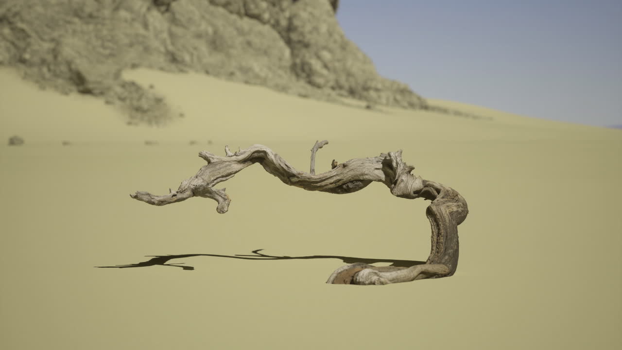 Unique twisted branch in a vast desert landscape during midday sunlight