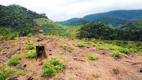 burnt tropical forest prepared for agriculture farmland, climate changeconcept