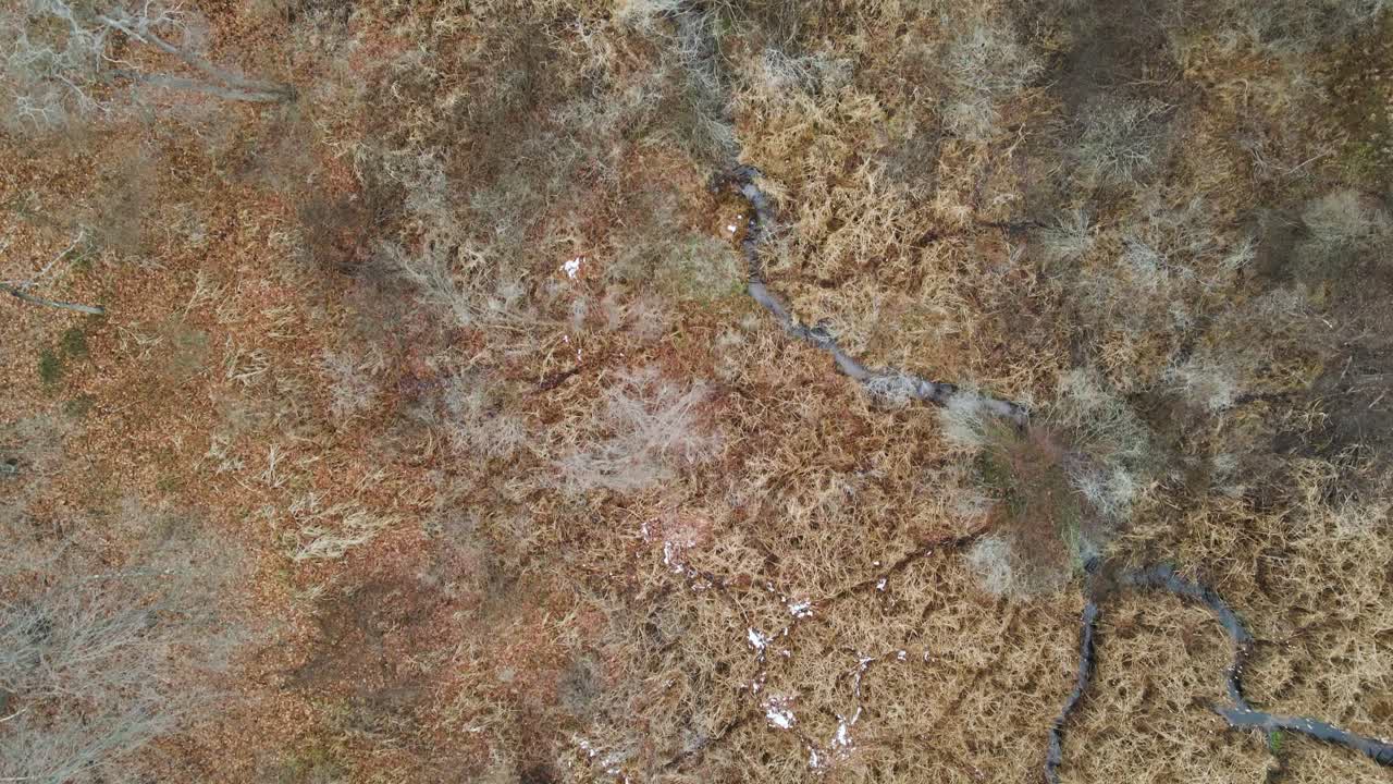 un rastro a vista de pájaro de un pequeño afluente a la laguna ruddiman y al lago muskegon
