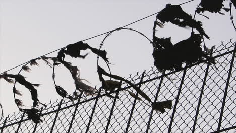 tattered plastic and fabric is caught on some sketchy looking barbed wire