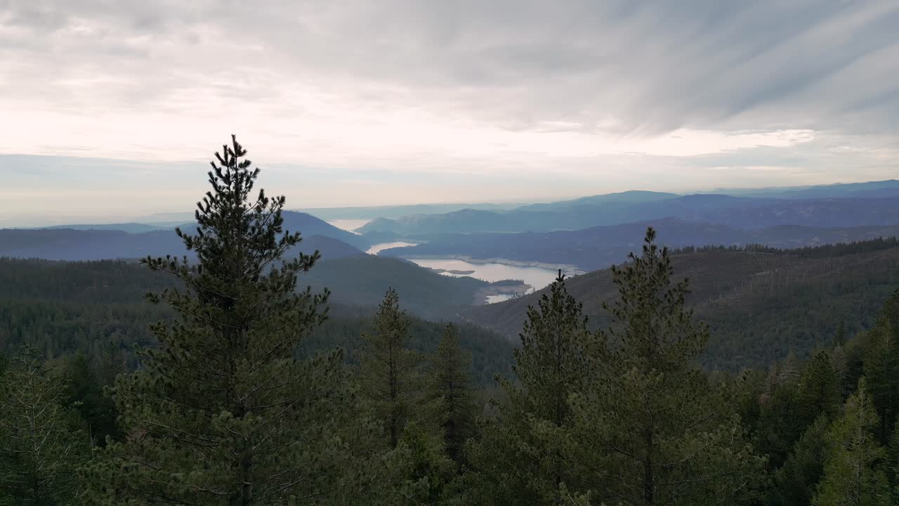 4K droneoptagelser fra bakkerne i det nordlige Californien med udsigt over et reservoir bag nogle grantræer
