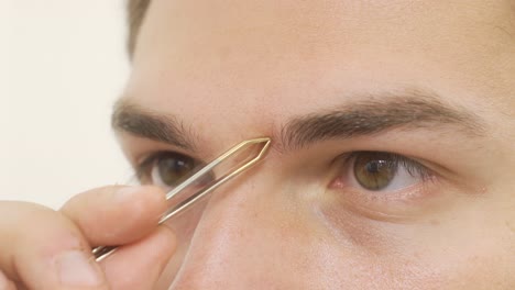 taking eyebrows with tweezers. personal care.