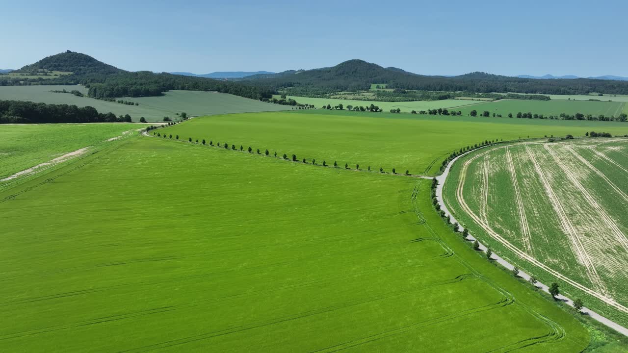 Zoom in with descent above vibrant cultivated farmlands, showing crop lines and curving roads