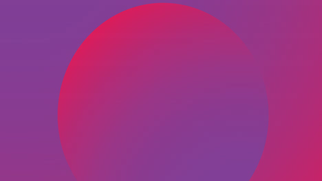 Animation-of-purple-circles-on-blue-background